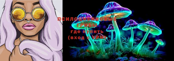 спиды Беломорск