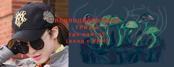 прущий лед Белокуриха