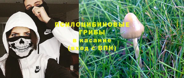 прущая мука Богородск