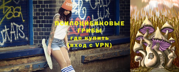 крисы Белоозёрский