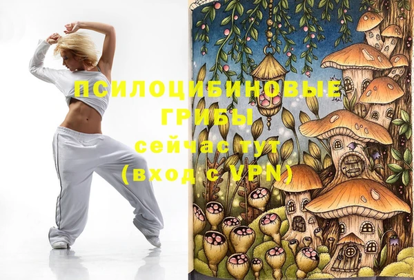 прущий лед Белокуриха