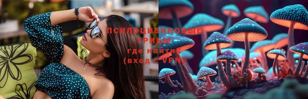 крисы Белоозёрский
