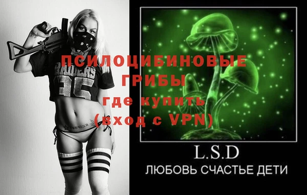 прущий лед Белокуриха