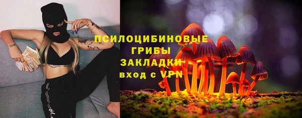 крисы Белоозёрский